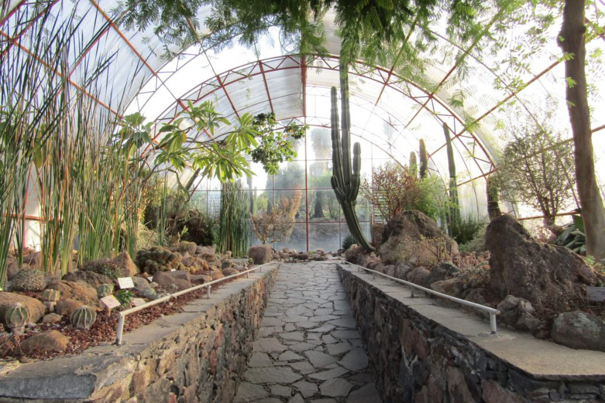 El Charco del Ingenio Botanical Garden & Nature Reserve